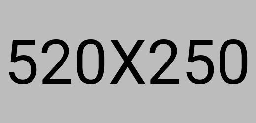 Custom Software Development Project